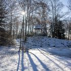 Unterwegs im Bürgerpark Theresienstein