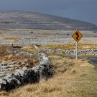 Unterwegs im Burren Nationalpark