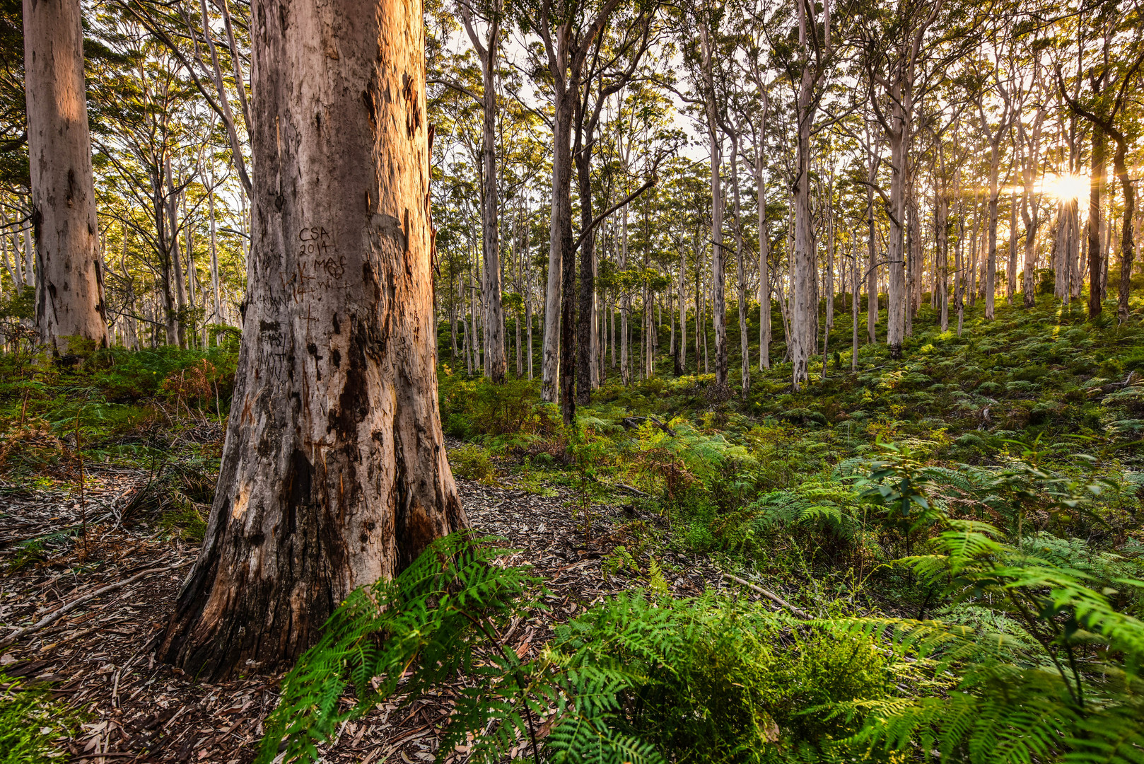 Unterwegs im Cape Leeuwin NP