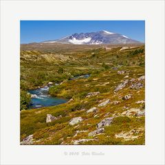 Unterwegs im Dovrefjell