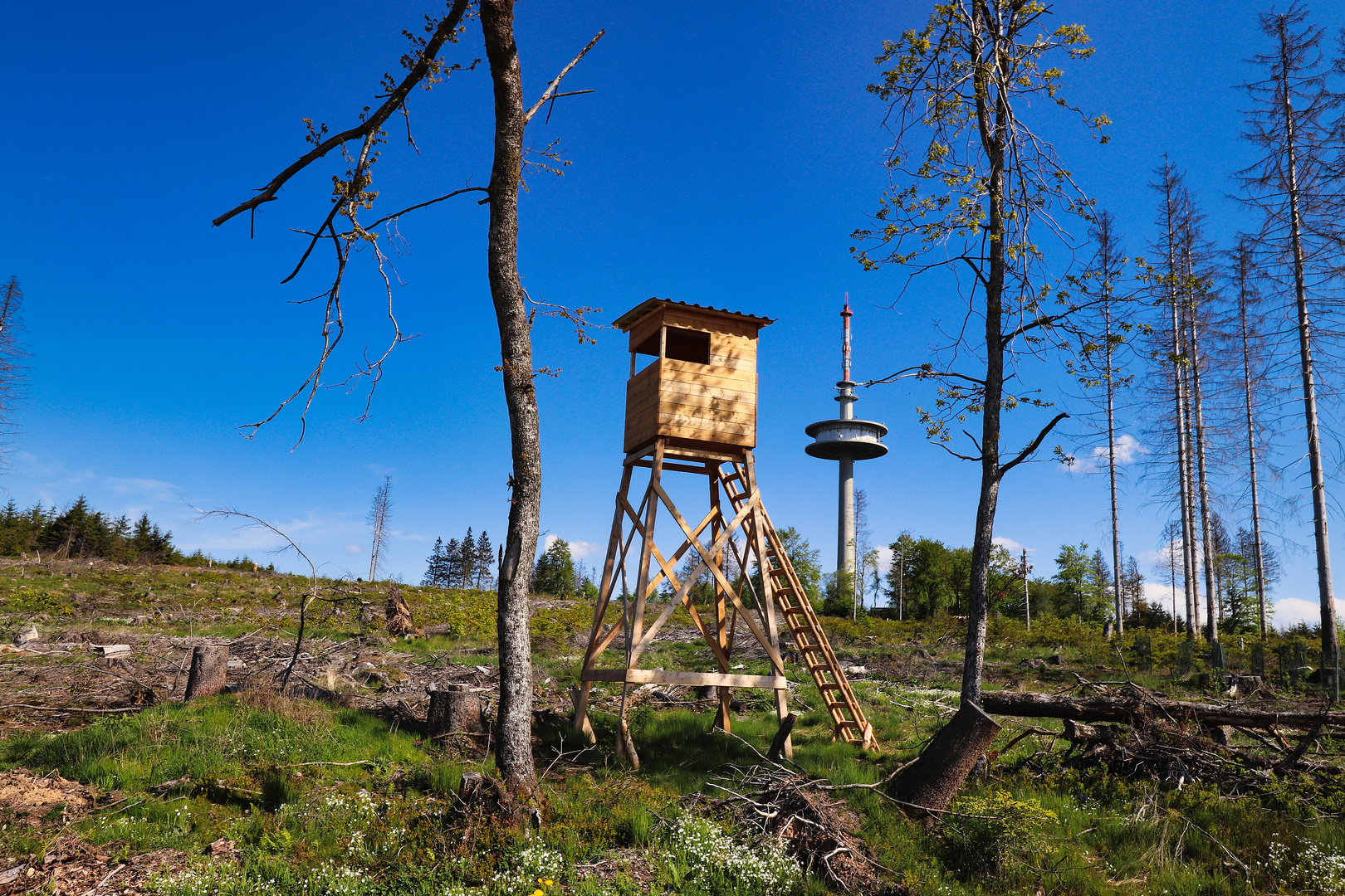 Unterwegs im Ebbegebirge