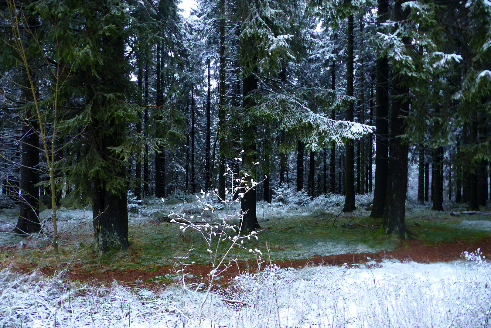 °°°° Unterwegs im Ebbegebirge °°°°