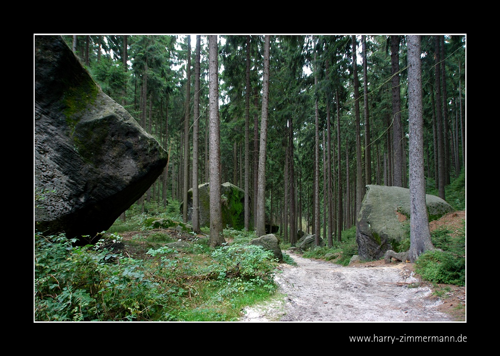 Unterwegs im Elbsandsteingebirge