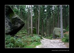 Unterwegs im Elbsandsteingebirge