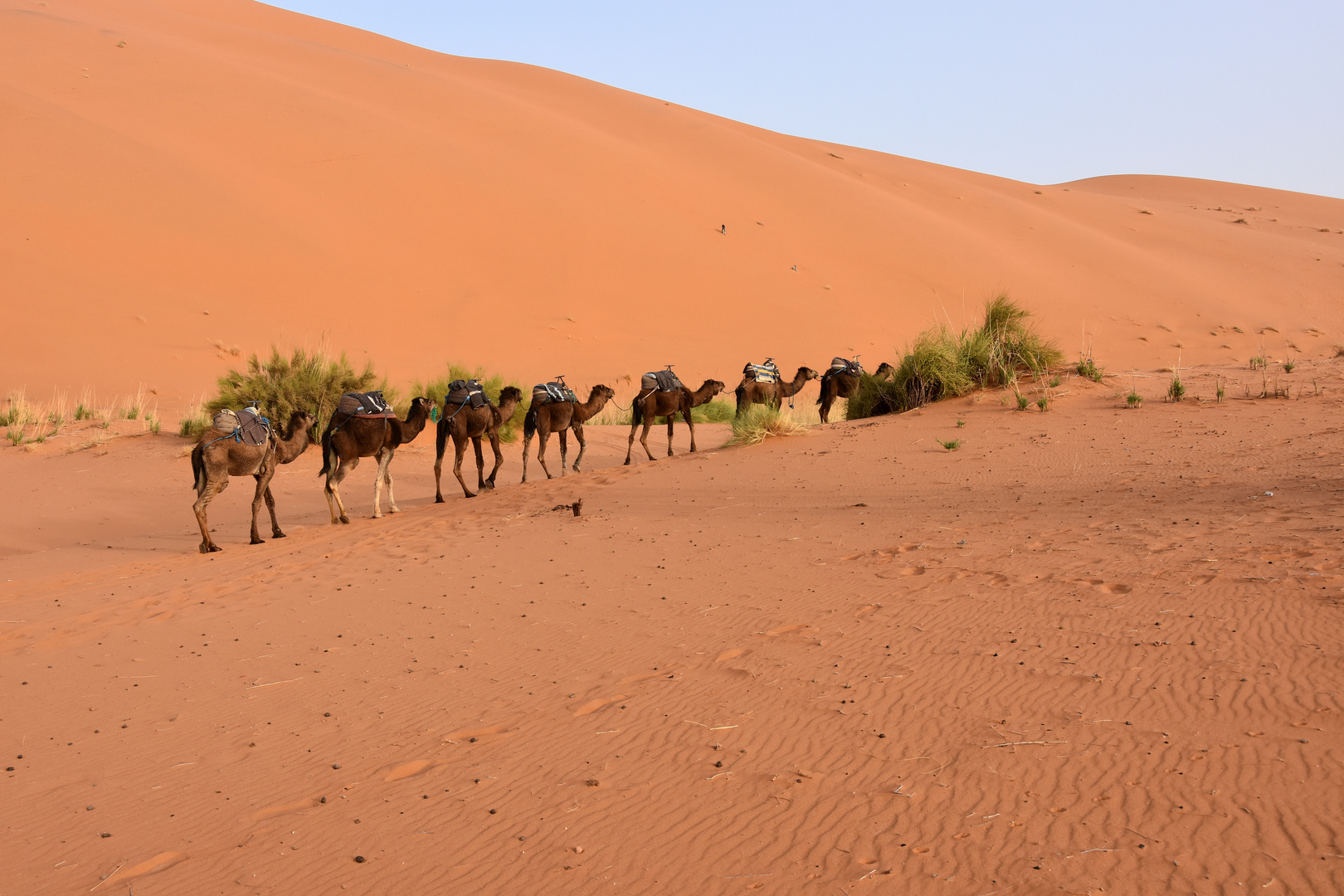 Unterwegs im Erg Chebbi