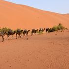 Unterwegs im Erg Chebbi