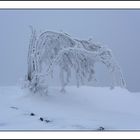 unterwegs im Erzgebirge.....