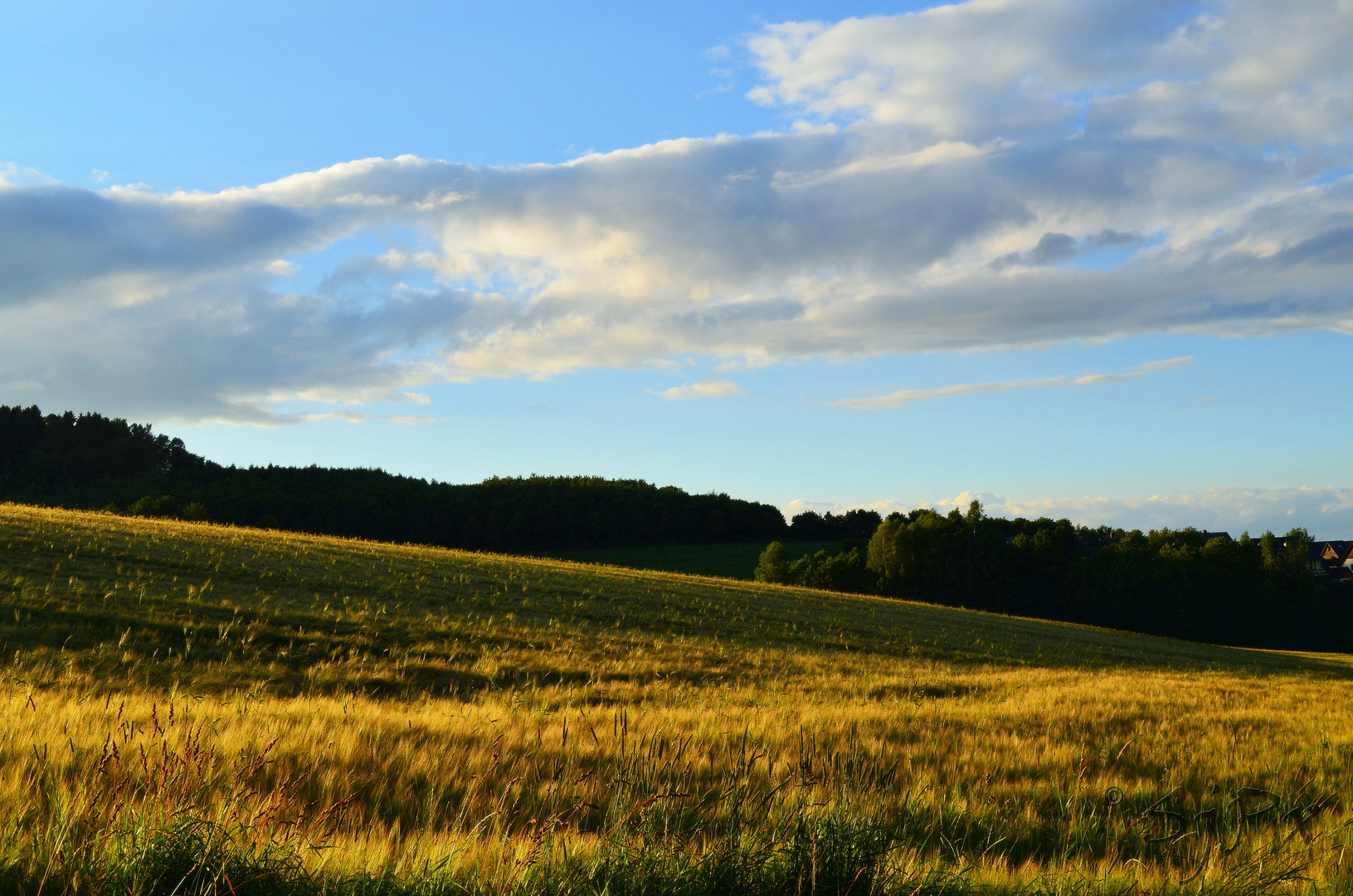 unterwegs im Erzgebirge