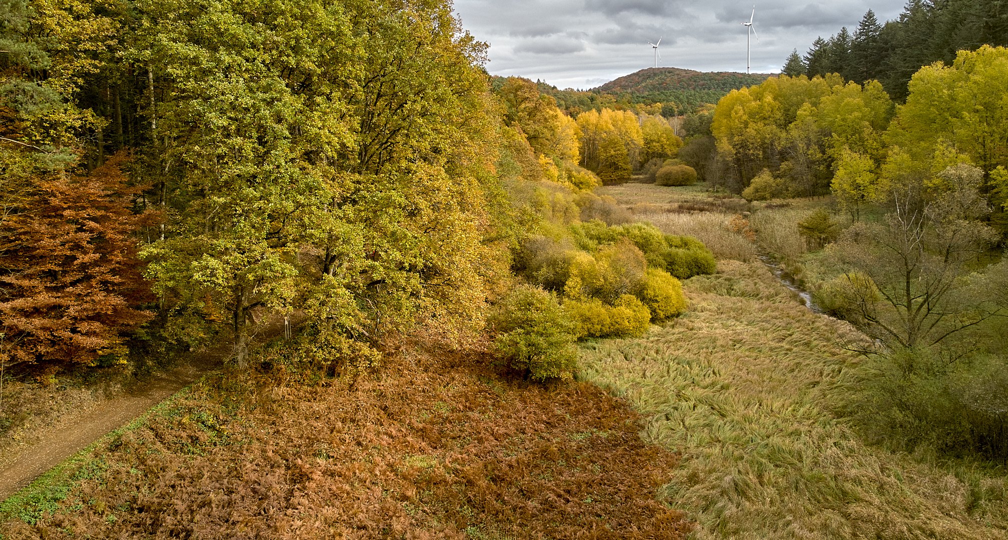 Unterwegs im Eselsbachtal bei Kaiserslautern, links erkennt man den...