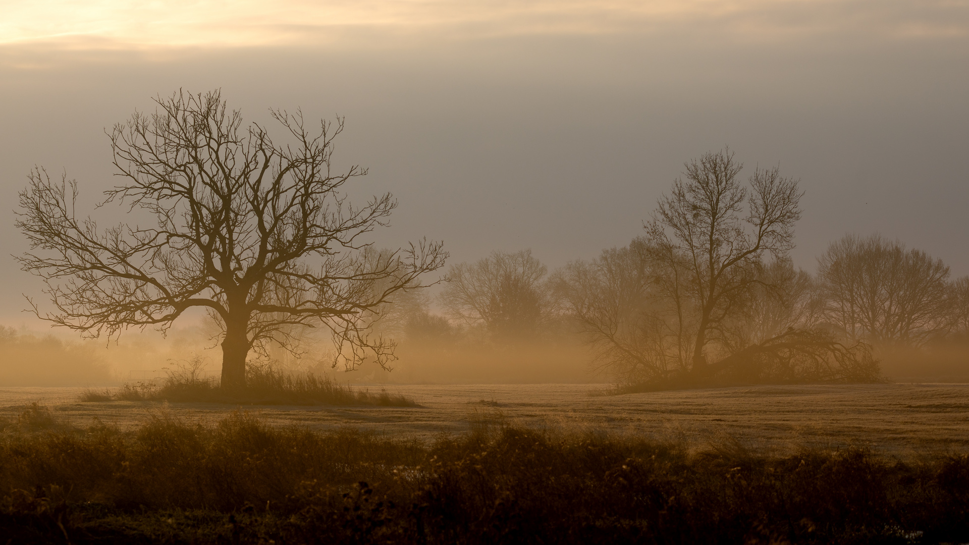 unterwegs im Fotorevier