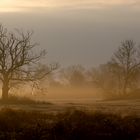 unterwegs im Fotorevier