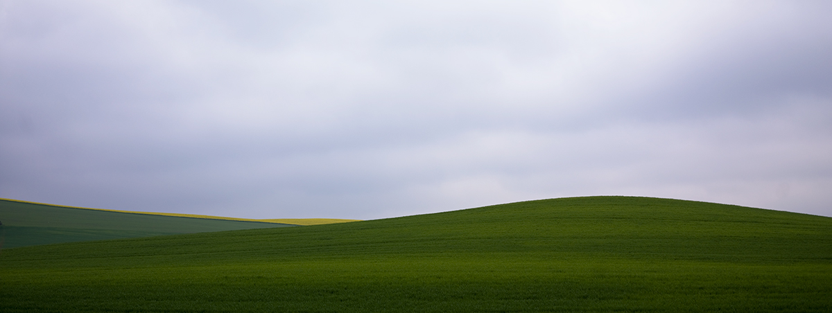 ....unterwegs im Frühling ? ......