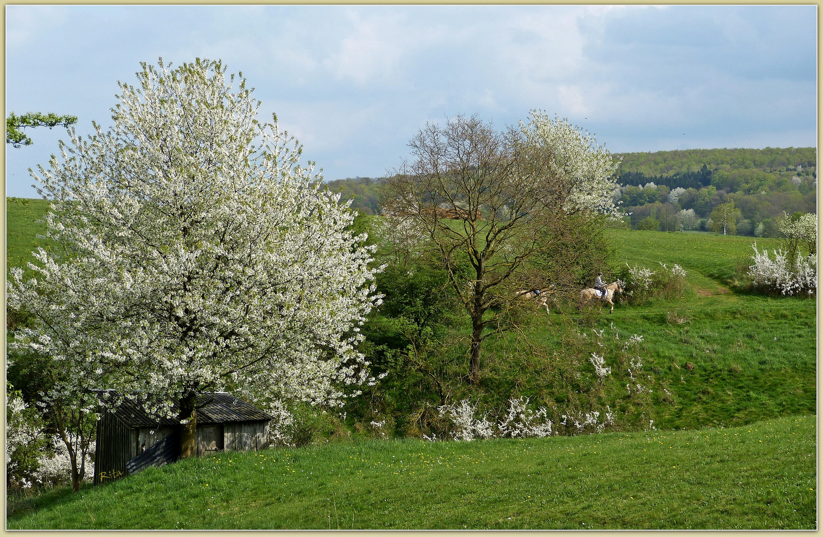 unterwegs im Frühling...