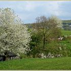 unterwegs im Frühling...