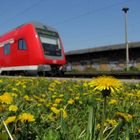 Unterwegs im Frühling