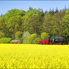 Unterwegs im gelben Meer