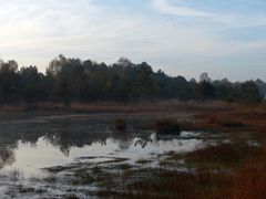 Unterwegs im Gildehauser Venn 3