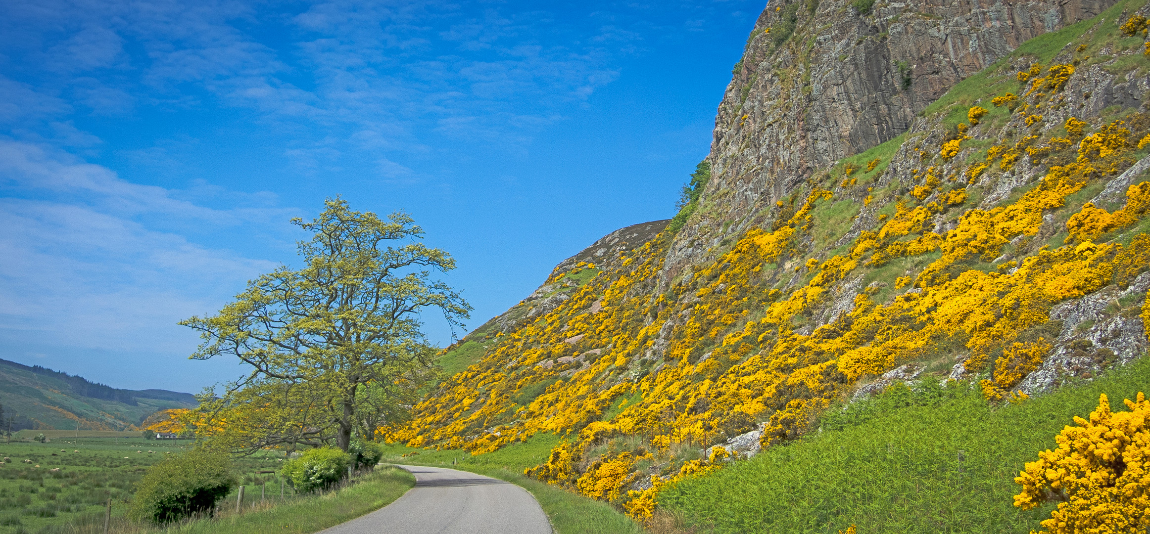 Unterwegs im Ginsterland