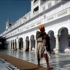 Unterwegs im Goldenen Tempel der Sikhs - Amritsar