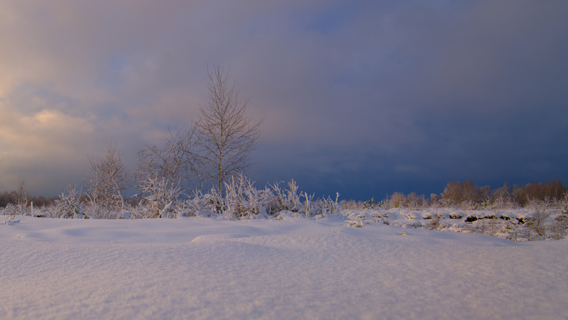 unterwegs im Großen Moor (16)