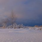 unterwegs im Großen Moor (16)