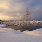 unterwegs im Großen Moor (18)