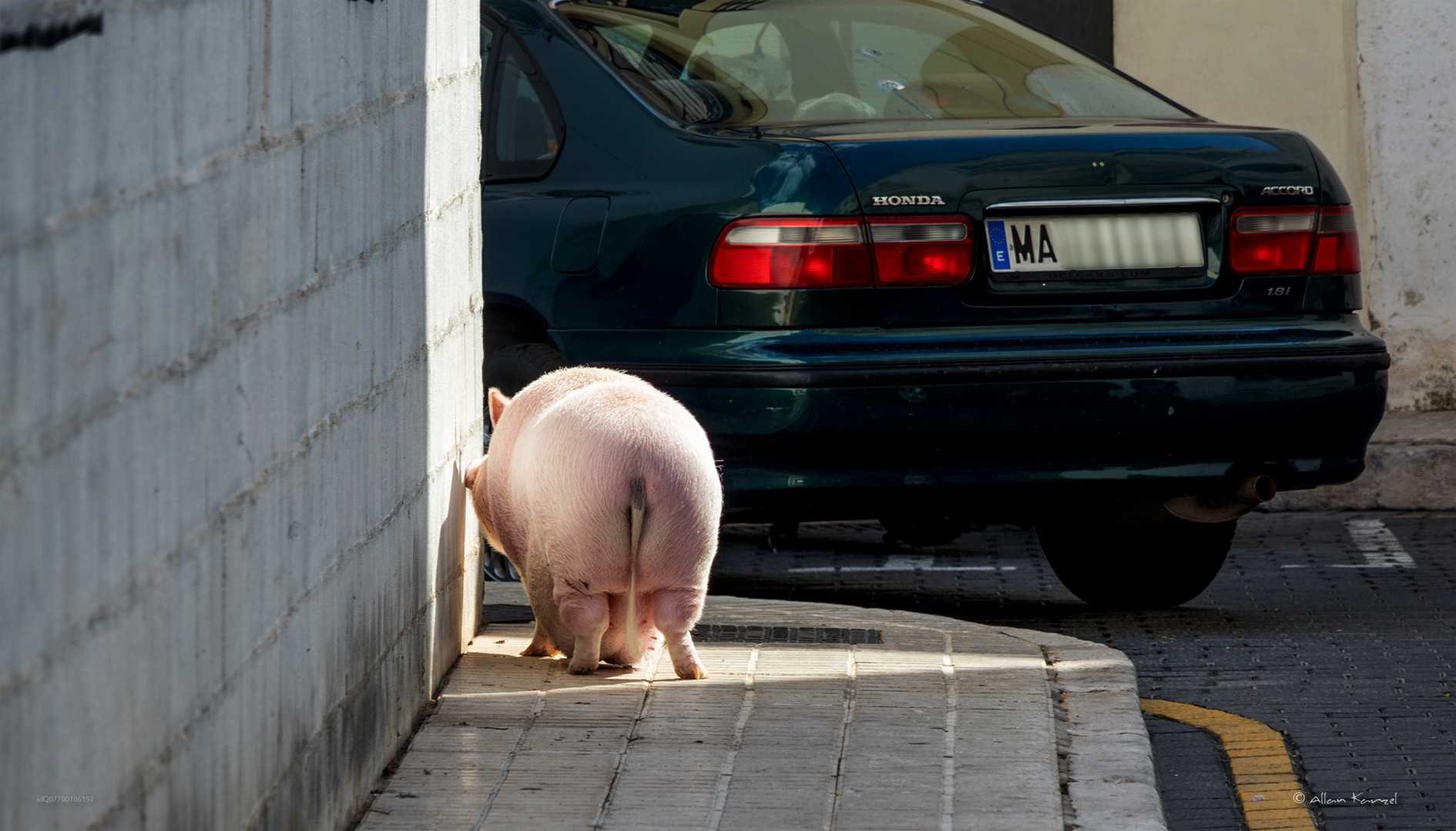 Unterwegs im Großstadt-Dschungel