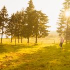 Unterwegs im Grünen