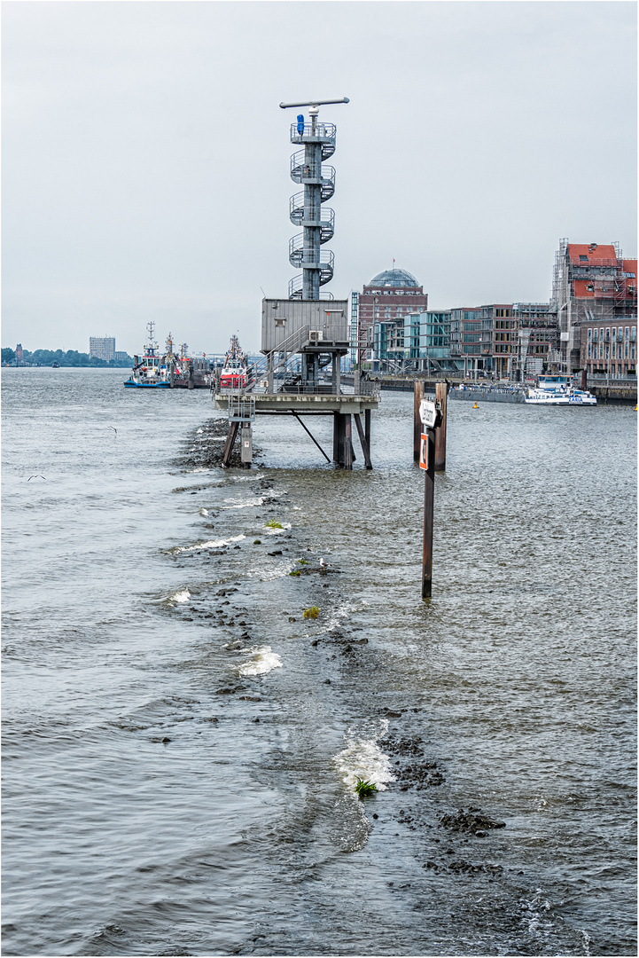 Unterwegs im Hamburger Hafen