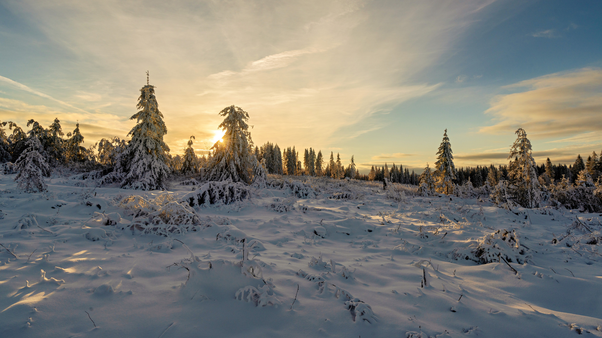 Unterwegs im Harz