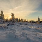 Unterwegs im Harz