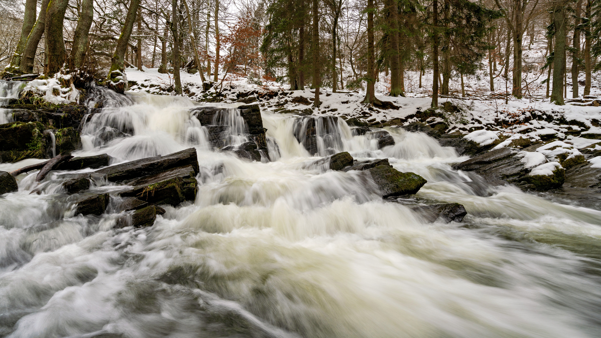 Unterwegs im Harz