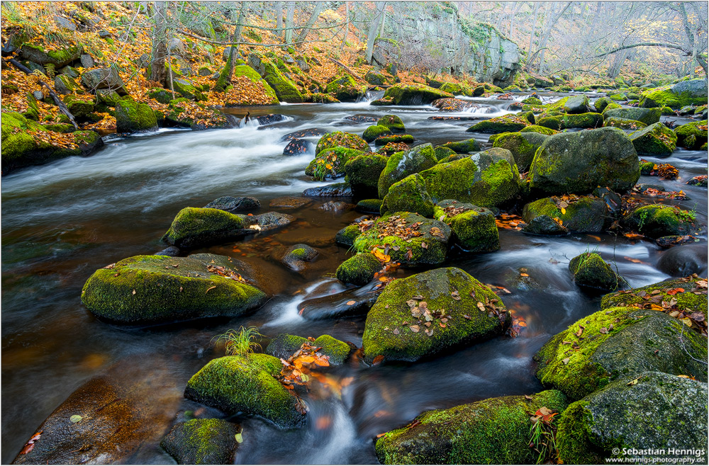 Unterwegs im Harz