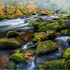 Unterwegs im Harz