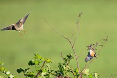 Unterwegs im Havelland