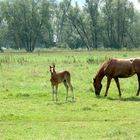 Unterwegs im Havelland