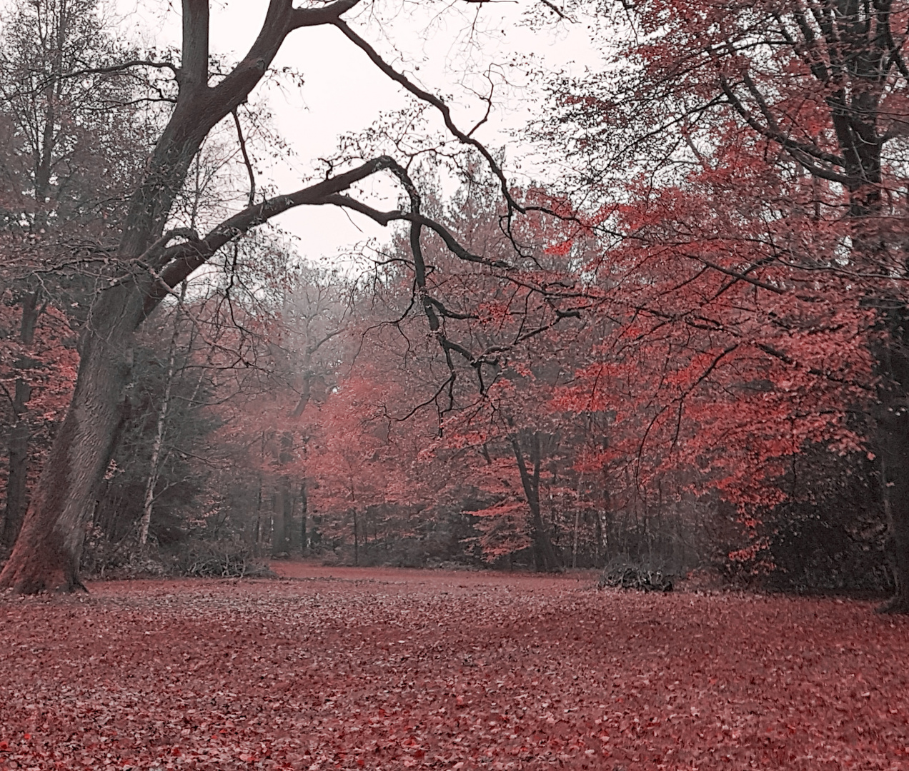 unterwegs im Herbst