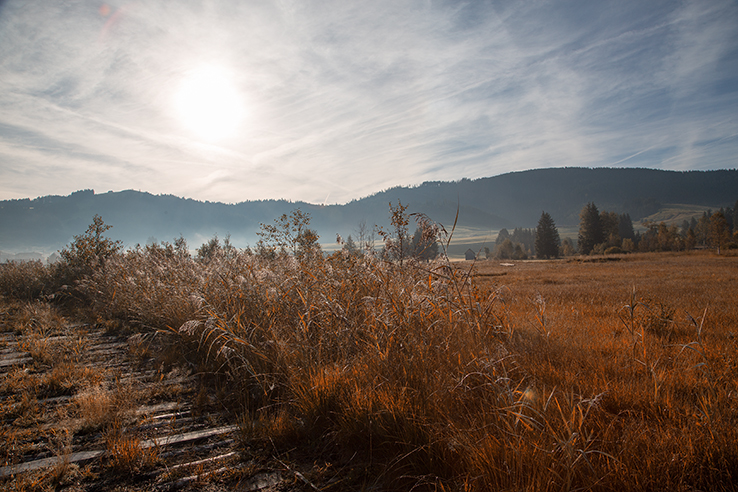 Unterwegs im Herbst