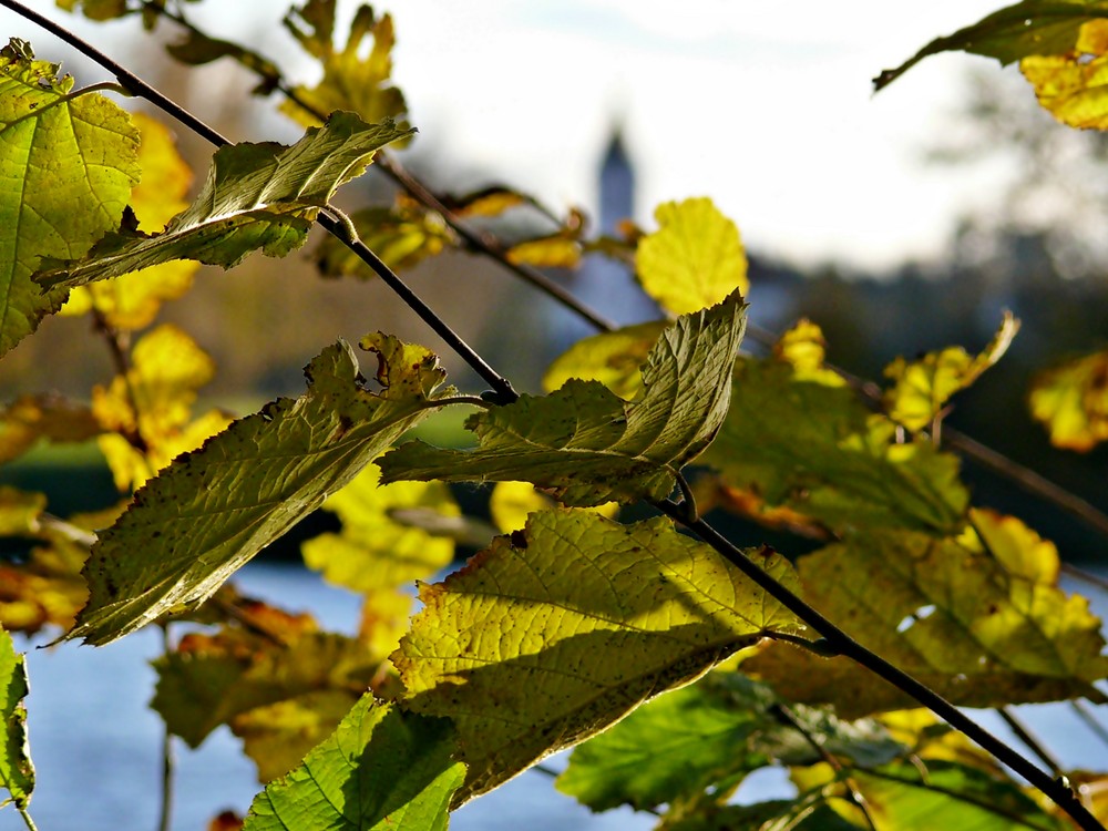 Unterwegs im Herbst I