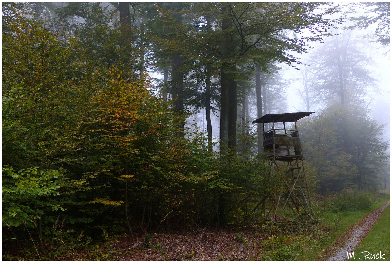 Unterwegs im herbstlichen Spessart ,