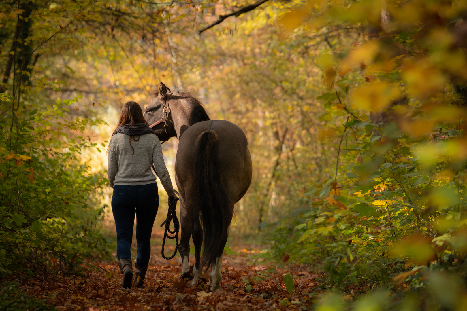 Unterwegs im Herbstwald