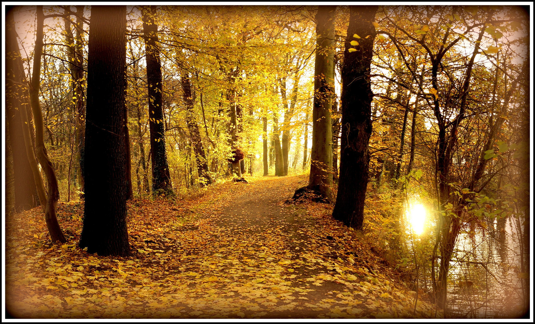 Unterwegs im Herbstwald