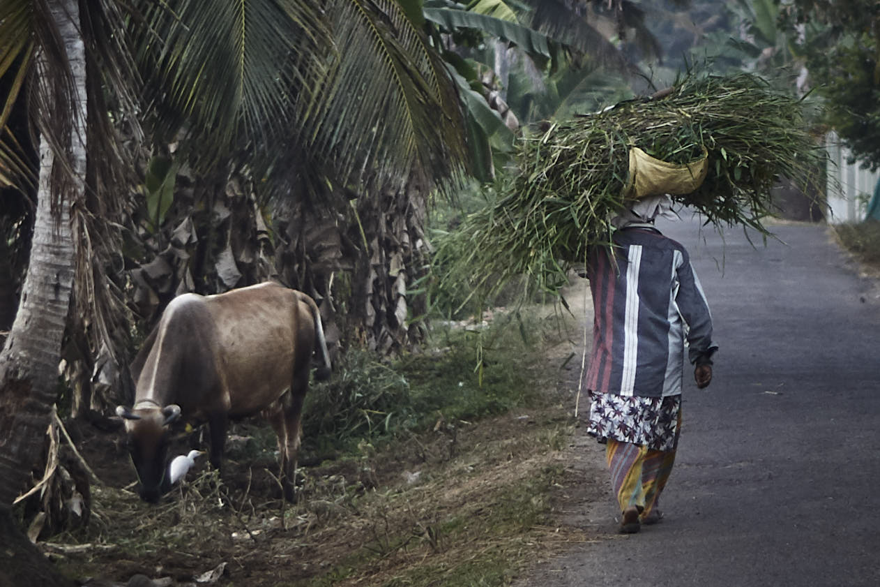 Unterwegs im Hinterland der Backwaters in Kerala