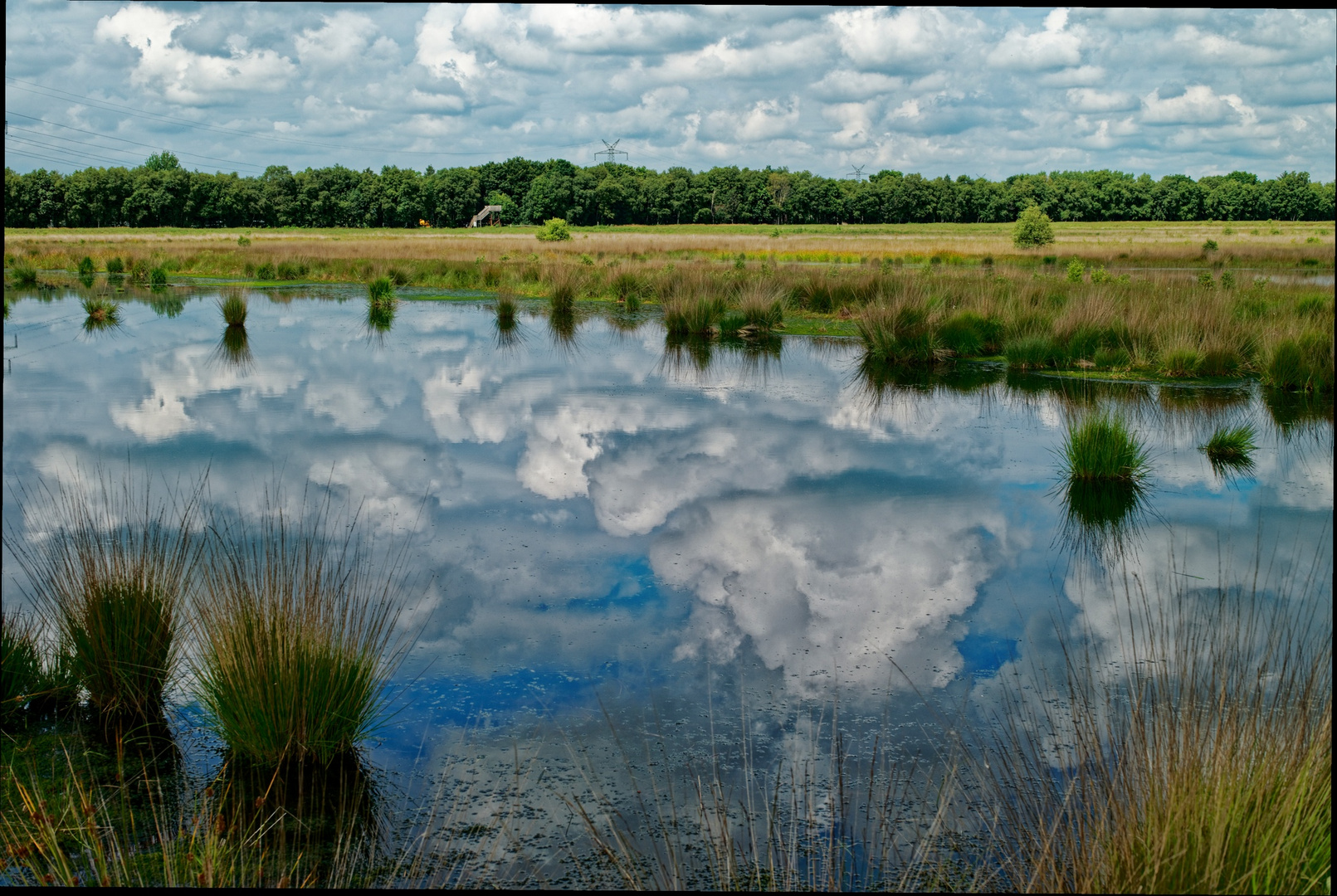 unterwegs im Hochmoor.....