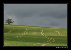 Unterwegs im Hunsrück