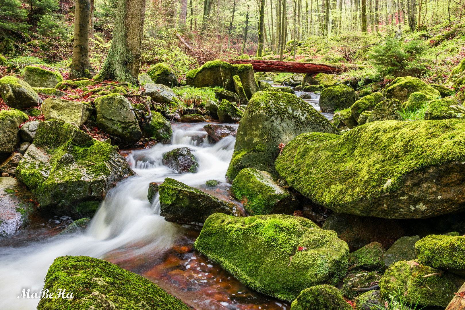 Unterwegs im Ilsetal