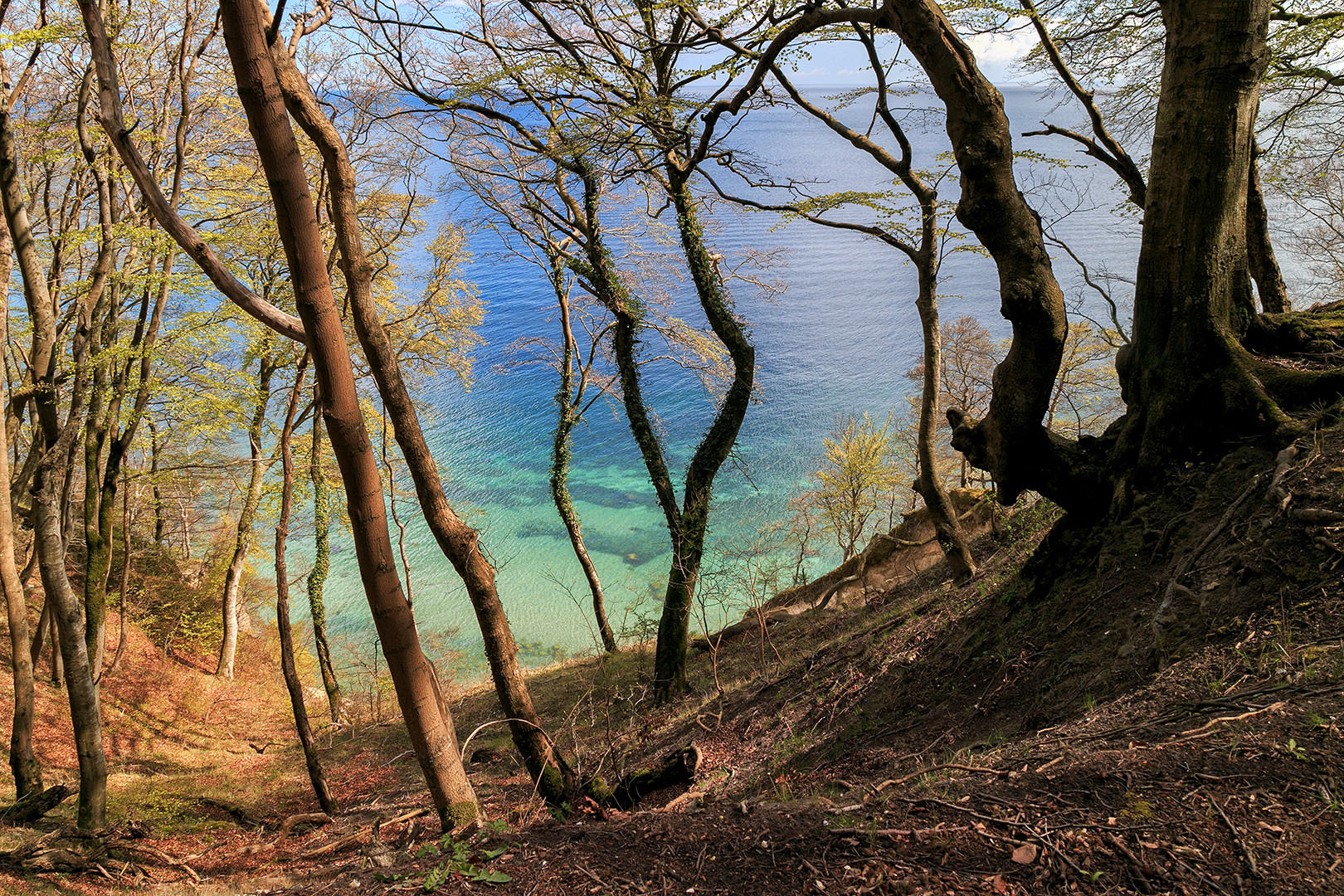 Unterwegs im Jasmunder Nationalpark