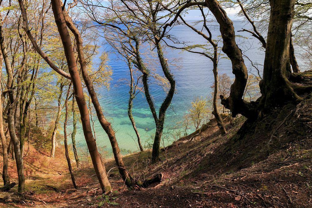 Unterwegs im Jasmunder Nationalpark