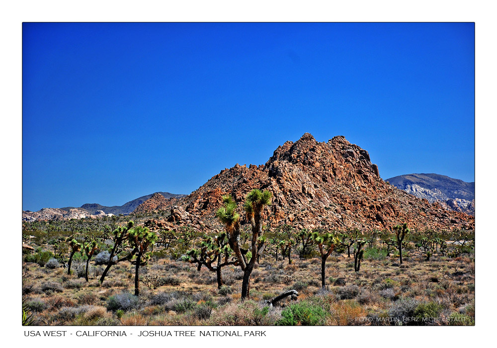 Unterwegs im Joshua Tree National Park