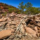 Unterwegs im Kalbarri NP